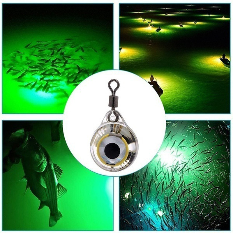FLYSAND Fishing Lights baglior - Fishing Lure Accessories recensione e prezzo
